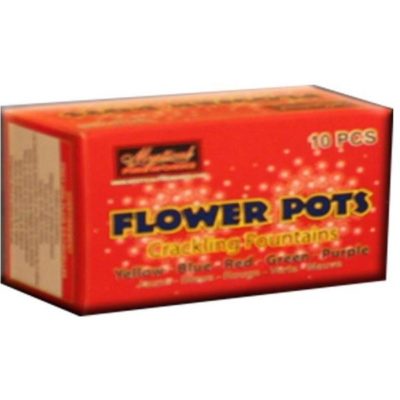 Flower Pots (10 pk)